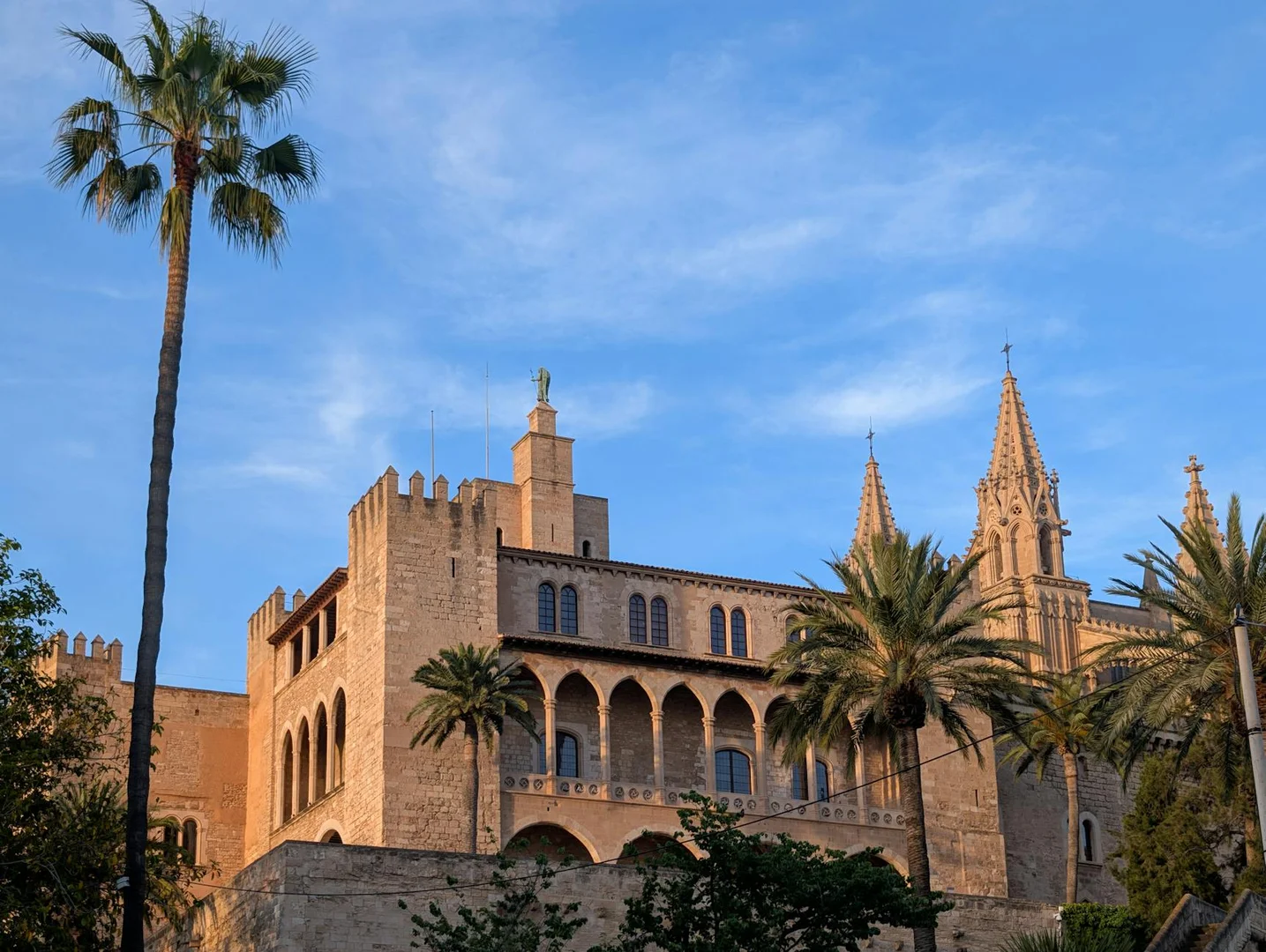 Vista panorámica de la impresionante arquitectura gótica de Palma de Mallorca, España, con palmeras y cielos despejados.